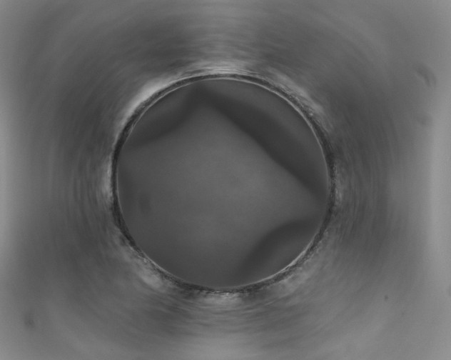 X0000111591174200907161447