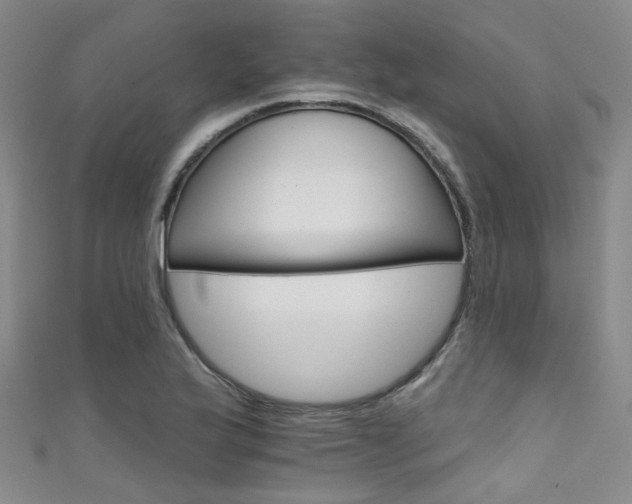 X0000111591175200907161447