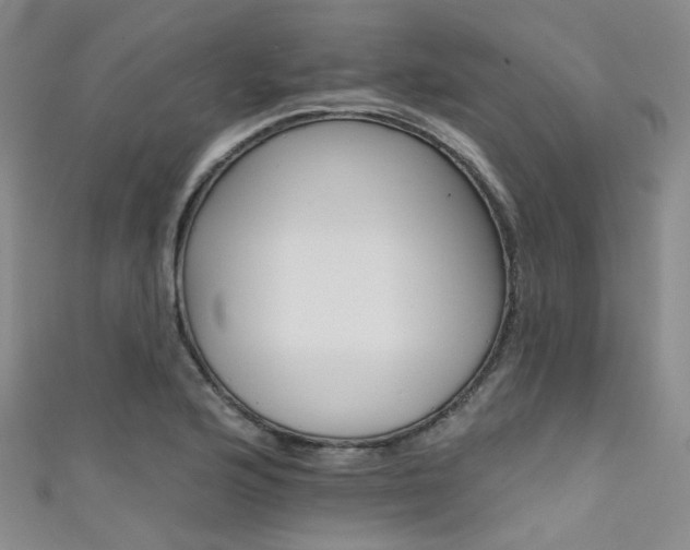 X0000111591176200907161447