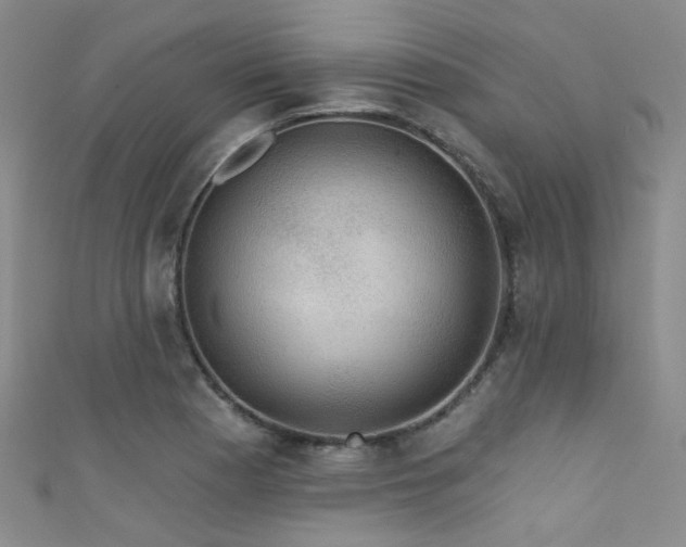 X0000111591177200907161447