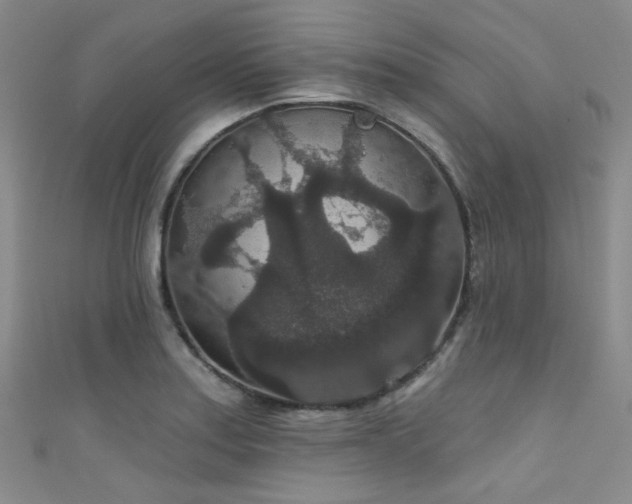 X0000111591179200907161447