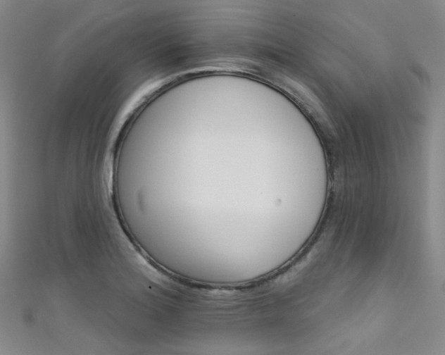 X0000111591180200907161447