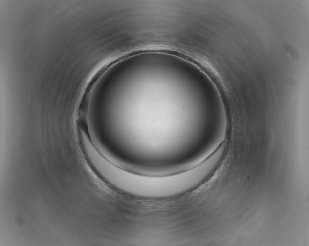 X0000111591181200907161447