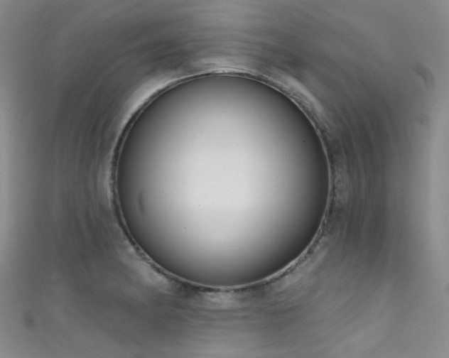 X0000111591182200907161447