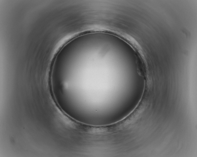 X0000111591183200907161447