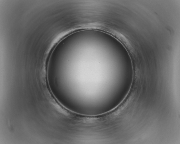 X0000111591184200907161447