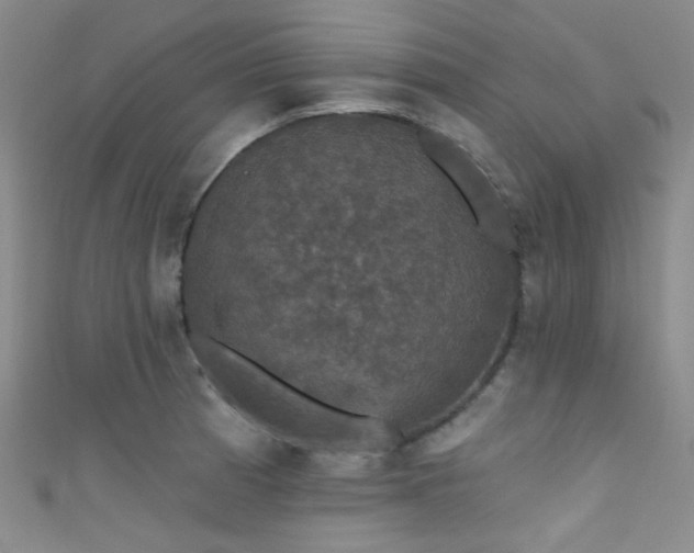 X0000111591185200907161447