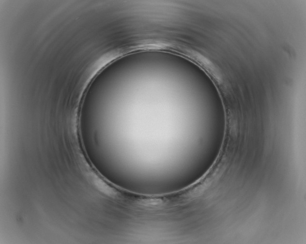 X0000111591186200907161447