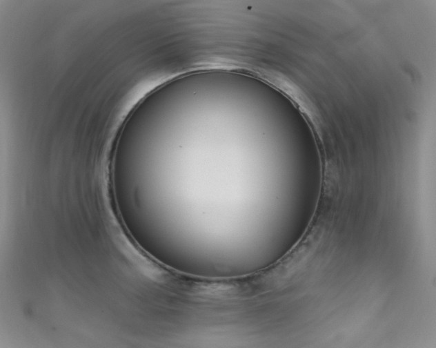 X0000111591187200907161447