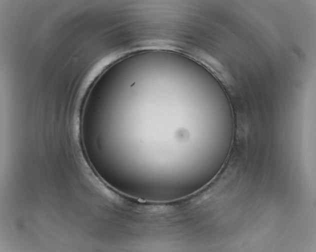 X0000111591188200907161447