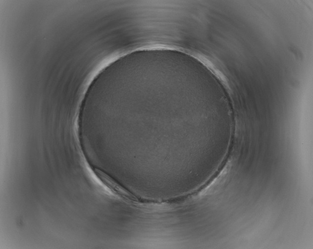 X0000111591189200907161447