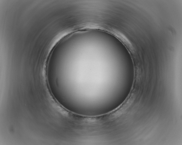 X0000111591190200907161447