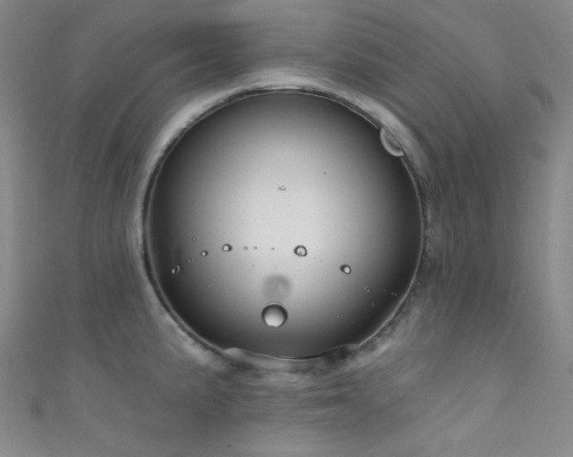 X0000111591191200907161447