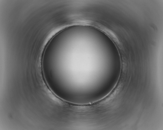 X0000111591192200907161447