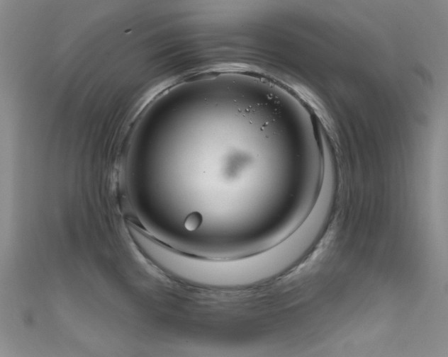 X0000111591193200907161447