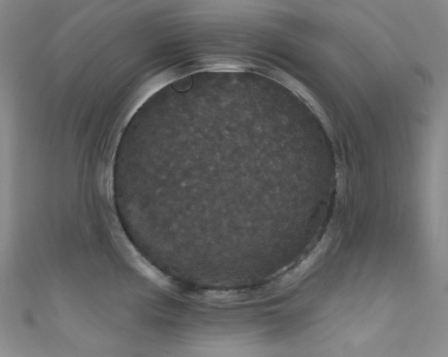 X0000111591194200907161447