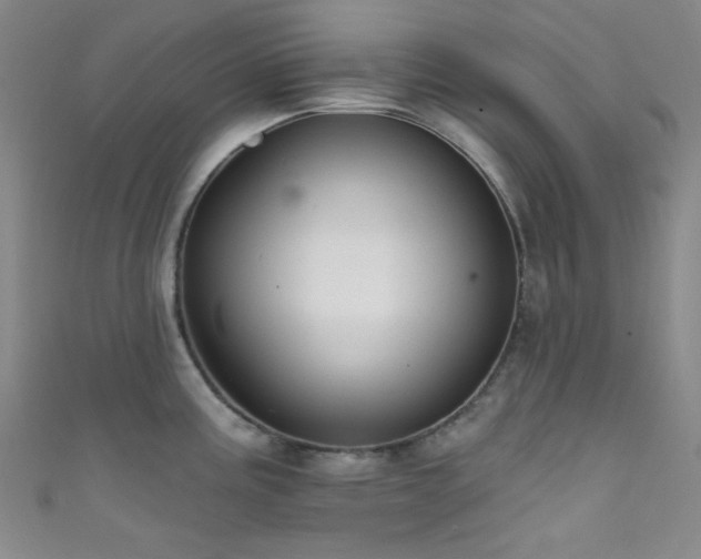 X0000111591195200907161447