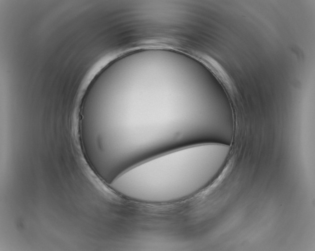 X0000111591196200907161447