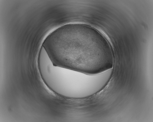 X0000111591197200907161447