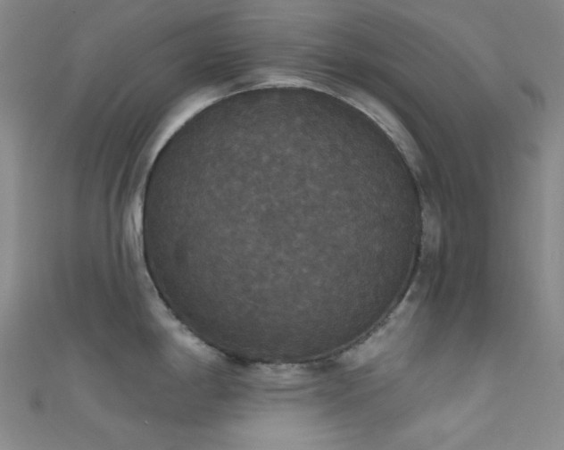 X0000111591198200907161447