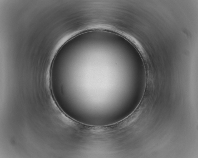 X0000111591199200907161447