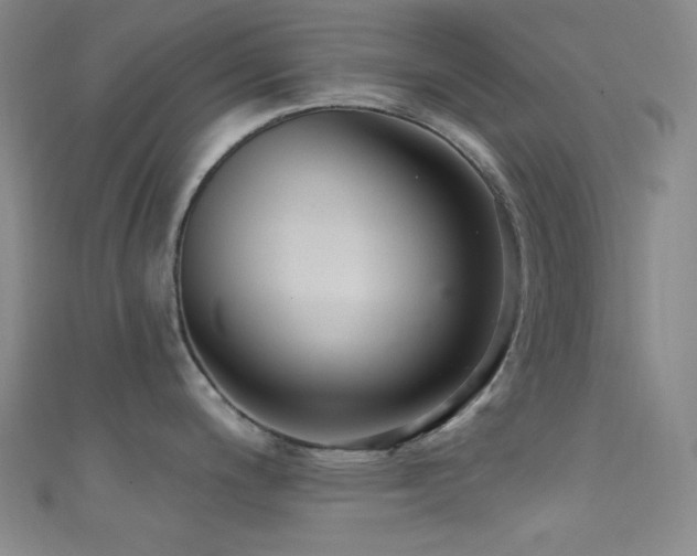 X0000111591200200907161447