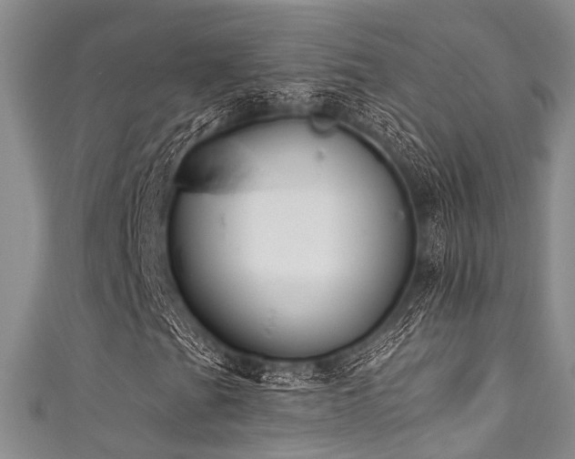 X0000111591201200907161446