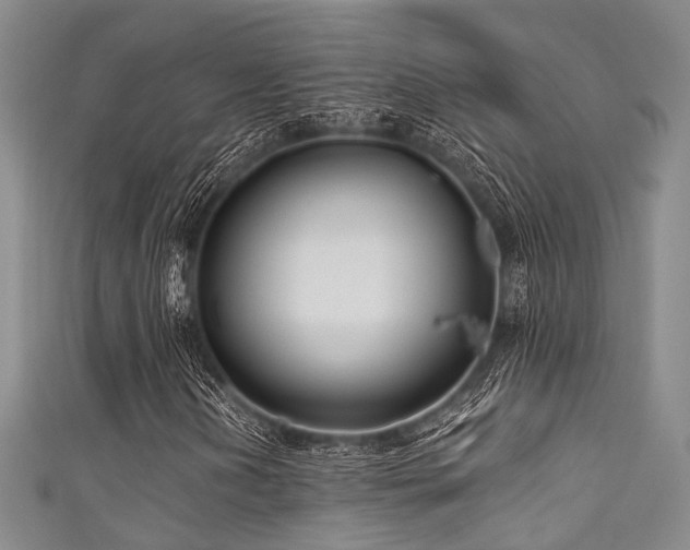 X0000111591202200907161446