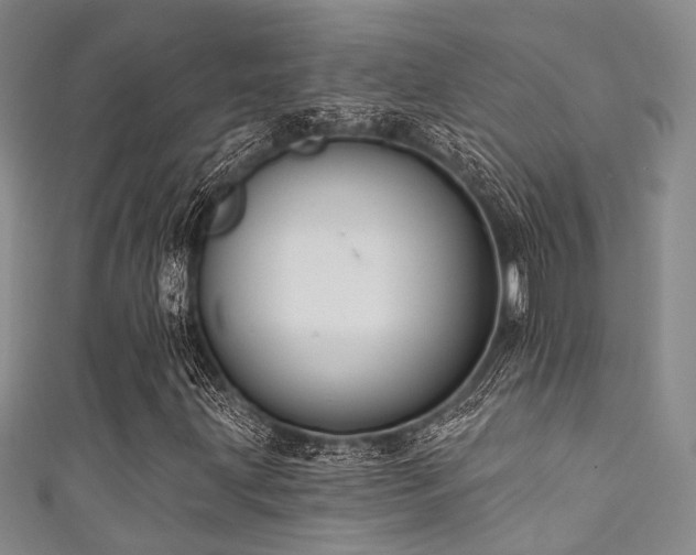 X0000111591203200907161446