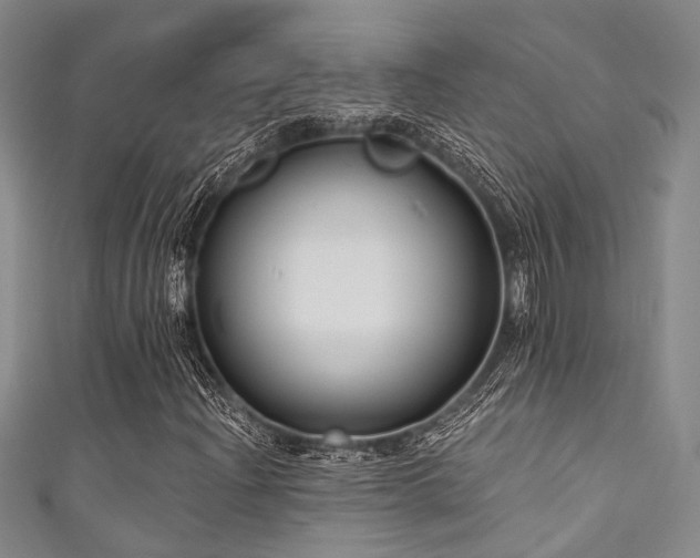 X0000111591204200907161446