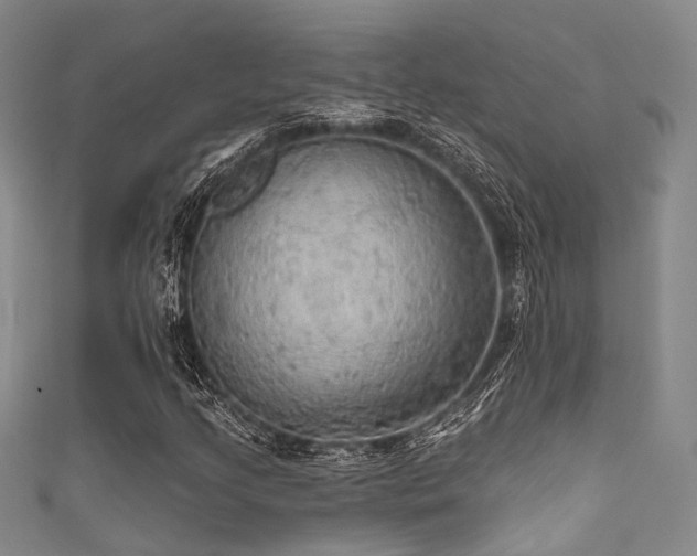 X0000111591205200907161446