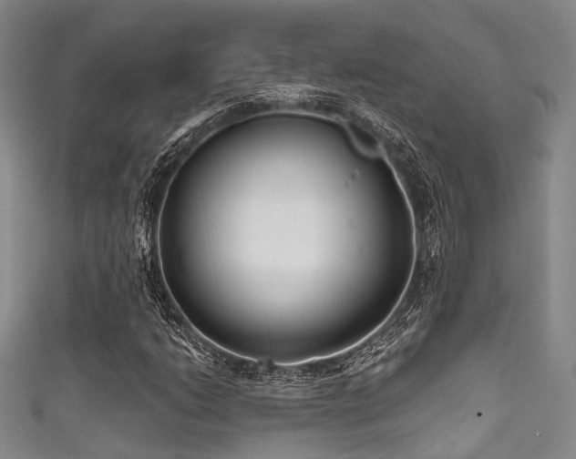 X0000111591206200907161446