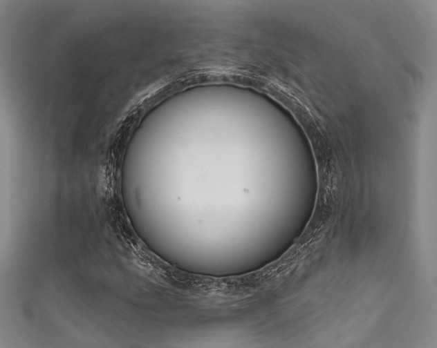 X0000111591207200907161446