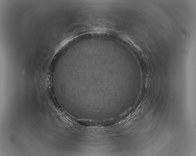 X0000111591208200907161446