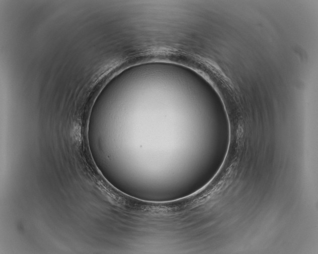 X0000111591209200907161446