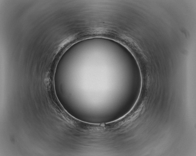 X0000111591210200907161446