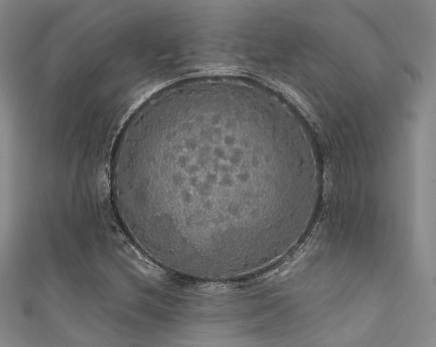 X0000111591212200907161446