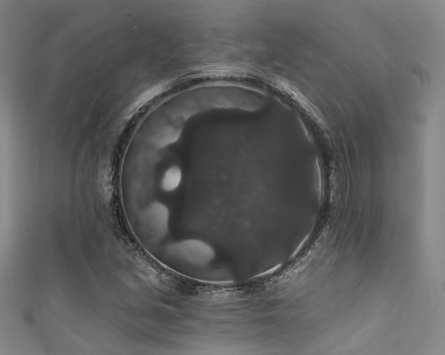 X0000111591213200907161446