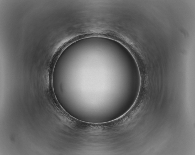 X0000111591214200907161446