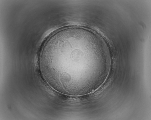 X0000111591215200907161446