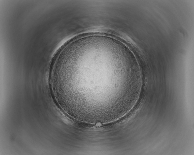 X0000111591216200907161446