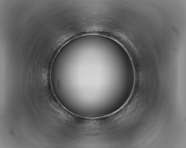 X0000111591217200907161446