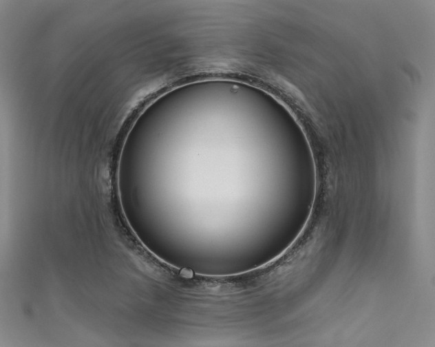 X0000111591218200907161446