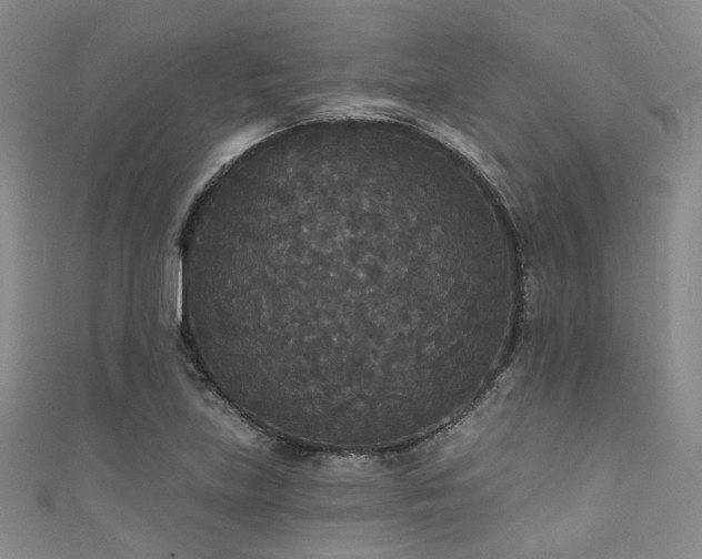 X0000111591219200907161447