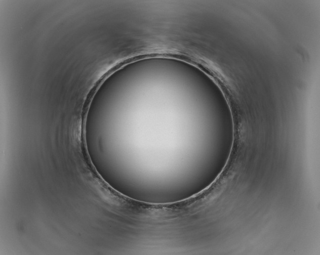 X0000111591220200907161447