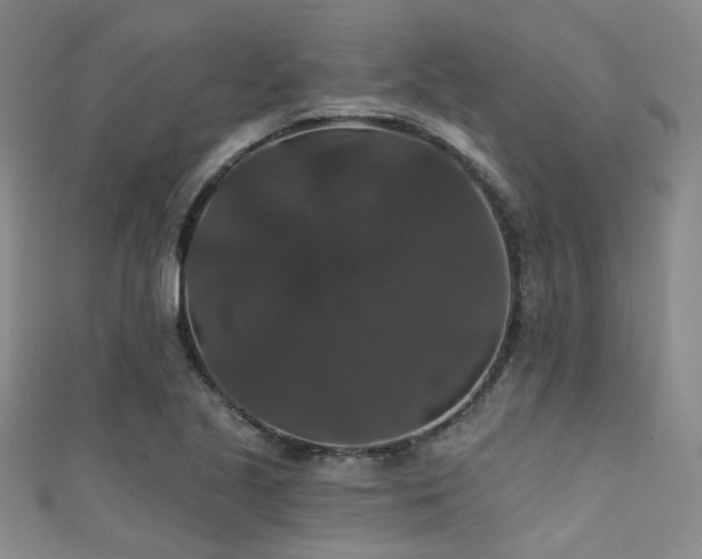 X0000111591221200907161447