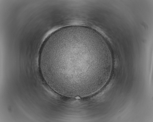 X0000111591222200907161447