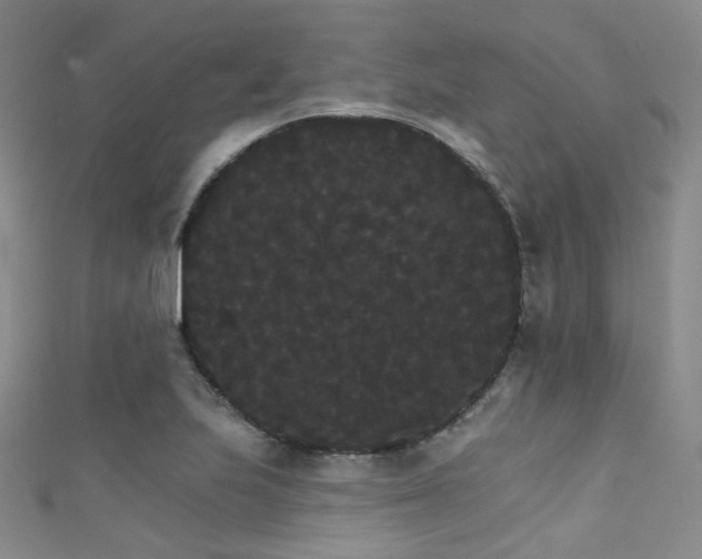 X0000111591223200907161447