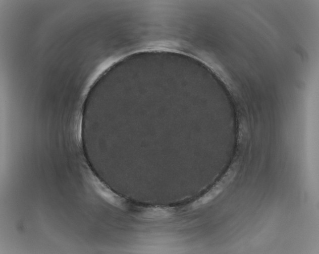 X0000111591224200907161447