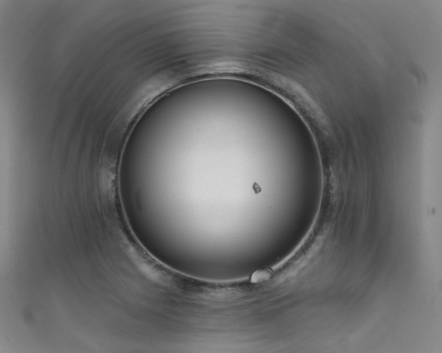 X0000111591225200907161447